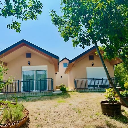 S&M Apartments Rijeka Crnojevića المظهر الخارجي الصورة